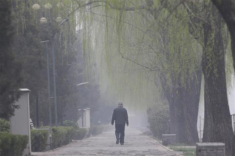 An elderly man walks along trees amid heavy haze in Beijing, March 27, 2014. REUTERS/Jason Lee An elderly man walks along trees amid heavy haze in Beijing, March 27, 2014. REUTERS/Jason Lee