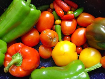 fresh vegetables fresh vegetables