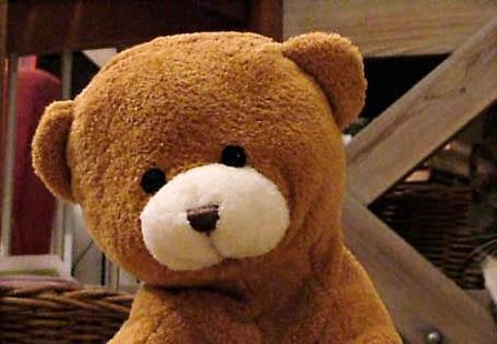 Teddy Bear Teddy Bear