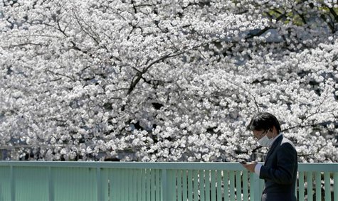 A businessman uses a mobile phone in front of cherry blossoms in full bloom in Tokyo March 31, 2014. REUTERS/Toru Hanai A businessman uses a mobile phone in front of cherry blossoms in full bloom in Tokyo March 31, 2014. REUTERS/Toru Hanai