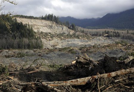 The collapsed hillside and debris field from a massive mudslide that struck Oso is pictured near Darrington, Washington April 2, 2014. REUTE The collapsed hillside and debris field from a massive mudslide that struck Oso is pictured near Darrington, Washington April 2, 2014. REUTE