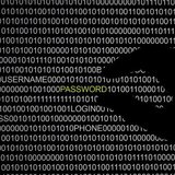 A hand is silhouetted in front of a computer screen in this picture illustration taken in Berlin May 21, 2013. REUTERS/Pawel Kopczynski A hand is silhouetted in front of a computer screen in this picture illustration taken in Berlin May 21, 2013. REUTERS/Pawel Kopczynski