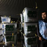An Afghan election worker stands next to ballot boxes at a counting centre in Kabul April 6, 2014. REUTERS/Mohammad Ismail An Afghan election worker stands next to ballot boxes at a counting centre in Kabul April 6, 2014. REUTERS/Mohammad Ismail