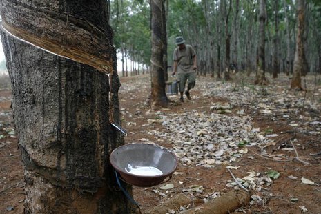 A farmer collects latex at a rubber plantation in Buon Ma Thuot City, in Vietnam's central highland April 2, 2010. REUTERS/Kham A farmer collects latex at a rubber plantation in Buon Ma Thuot City, in Vietnam's central highland April 2, 2010. REUTERS/Kham