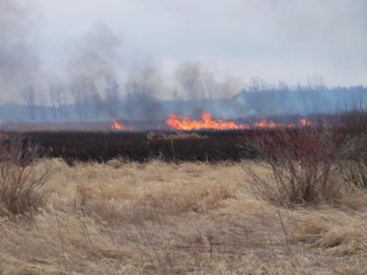 A view of the flames from a wildfire in southwest Fond du Lac County April 11, 2014. A view of the flames from a wildfire in southwest Fond du Lac County April 11, 2014.