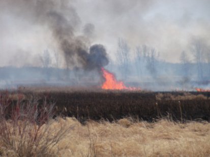 Flames from a wildfire that occurred in southwest Fond du Lac County April 11, 2014. Flames from a wildfire that occurred in southwest Fond du Lac County April 11, 2014.