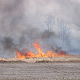 A fire burns marsh land in Fond du Lac County on April 11, 2014. (Photo from: KFIZ). A fire burns marsh land in Fond du Lac County on April 11, 2014. (Photo from: KFIZ).