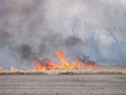 A fire burns marsh land in Fond du Lac County on April 11, 2014. (Photo from: KFIZ). A fire burns marsh land in Fond du Lac County on April 11, 2014. (Photo from: KFIZ).