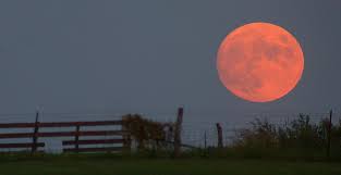 blood red moon blood red moon