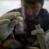 A scientist separates blood cells from plasma cells to isolate any Ebola RNA in order to test for the virus at the European Mobile Laborator A scientist separates blood cells from plasma cells to isolate any Ebola RNA in order to test for the virus at the European Mobile Laborator