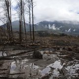 A view is seen of the large debris pile left by a mudslide in Oso, Washington, April 4, 2014. REUTERS/Max Whittaker A view is seen of the large debris pile left by a mudslide in Oso, Washington, April 4, 2014. REUTERS/Max Whittaker