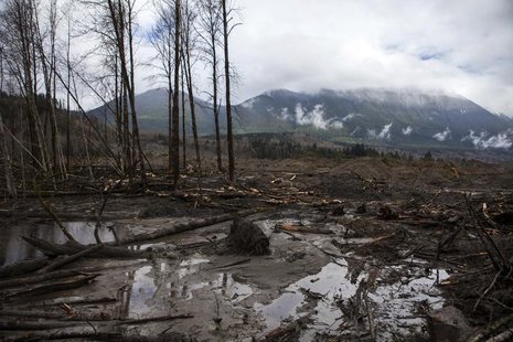 A view is seen of the large debris pile left by a mudslide in Oso, Washington, April 4, 2014. REUTERS/Max Whittaker A view is seen of the large debris pile left by a mudslide in Oso, Washington, April 4, 2014. REUTERS/Max Whittaker
