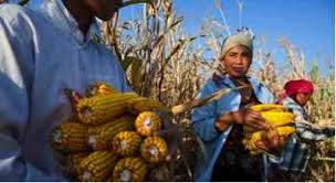 United Nations Year of Family Farming United Nations Year of Family Farming