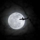 moon moon