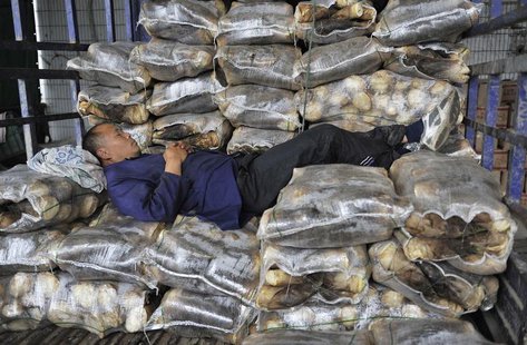 A vendor sleeps on sacks of bamboo shoots on the back of a truck at a vegetable wholesale market in Hefei, Anhui province April 11, 2014. RE A vendor sleeps on sacks of bamboo shoots on the back of a truck at a vegetable wholesale market in Hefei, Anhui province April 11, 2014. RE