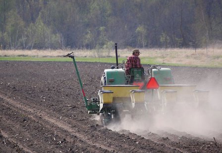Spring Planting Spring Planting