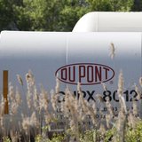 A view of the Dupont logo on a train car at the Dupont Edge Moor facility near Wilmington, Delaware, April 17, 2012. REUTERS/Tim Shaffer A view of the Dupont logo on a train car at the Dupont Edge Moor facility near Wilmington, Delaware, April 17, 2012. REUTERS/Tim Shaffer
