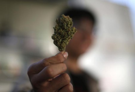 A volunteer holds a dried cannabis bud at the La Brea Collective medical marijuana dispensary in Los Angeles, California, March 18, 2014. RE A volunteer holds a dried cannabis bud at the La Brea Collective medical marijuana dispensary in Los Angeles, California, March 18, 2014. RE