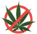 Anti Marijuana Anti Marijuana