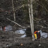 A rescue worker takes a break while working in a debris field left by a mudslide in Oso, Washington April 3, 2014. REUTERS/Max Whittaker A rescue worker takes a break while working in a debris field left by a mudslide in Oso, Washington April 3, 2014. REUTERS/Max Whittaker