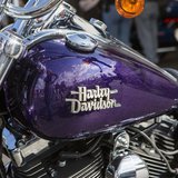 A Harley-Davidson motorcycle is pictured at the Harley-Davidson Museum in Milwaukee, Wisconsin August 31, 2013. REUTERS/Sara Stathas A Harley-Davidson motorcycle is pictured at the Harley-Davidson Museum in Milwaukee, Wisconsin August 31, 2013. REUTERS/Sara Stathas