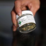 A volunteer displays cannabis buds at the La Brea Collective medical marijuana dispensary in Los Angeles, California, March 18, 2014. REUTER A volunteer displays cannabis buds at the La Brea Collective medical marijuana dispensary in Los Angeles, California, March 18, 2014. REUTER