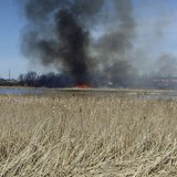 Macatawa Marsh Burn Macatawa Marsh Burn