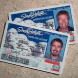 SD drivers license SD drivers license