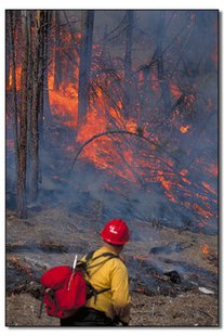 controlled burn controlled burn