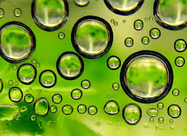 Algae biofuel Algae biofuel
