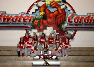 2014 Coldwater High School girls varsity softball team 2014 Coldwater High School girls varsity softball team