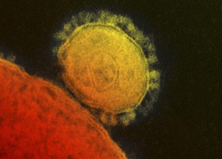 The Middle East respiratory syndrome (MERS) coronavirus is seen in an undated transmission electron micrograph from the National Institute f The Middle East respiratory syndrome (MERS) coronavirus is seen in an undated transmission electron micrograph from the National Institute f