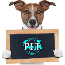 National Pet Month National Pet Month