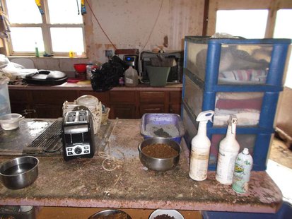 Animal neglect case pic 3 provided by Vigo County Sheriff Animal neglect case pic 3 provided by Vigo County Sheriff
