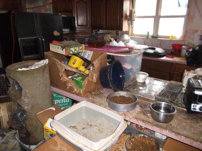 Animal neglect case pic 4 provided by Vigo County Sheriff Animal neglect case pic 4 provided by Vigo County Sheriff