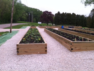 A view of the garden beds Wisconsin Public Service and Meals on Wheels helped to put together. A view of the garden beds Wisconsin Public Service and Meals on Wheels helped to put together.