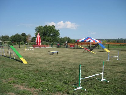 example of dog park
‘Wiggly Field’ Dog Park in Oregon. example of dog park
‘Wiggly Field’ Dog Park in Oregon.