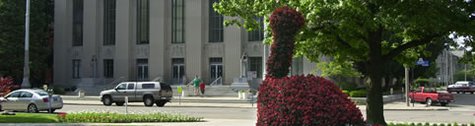 Mike the Peacock stands vigil outside Kalamazoo City Hall. Mike the Peacock stands vigil outside Kalamazoo City Hall.