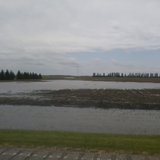 Field Flooding Field Flooding