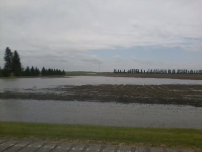 Field Flooding Field Flooding