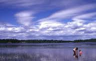 Coldwater Lake State Park (photo courtesy of Michigan Department of Natural Resources) Coldwater Lake State Park (photo courtesy of Michigan Department of Natural Resources)