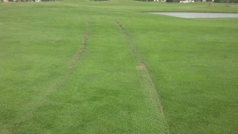 Village Green ruts Village Green ruts
