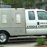 animal control animal control
