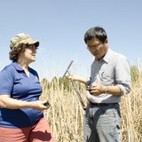 Professor Carol Johnston and visiting scientist Zhenguo Niu examine a wetlands soil core. (SDSU.edu) Professor Carol Johnston and visiting scientist Zhenguo Niu examine a wetlands soil core. (SDSU.edu)