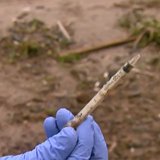 A drug needle is found while cleaning up Red Arrow Park in Marinette on June 25, 2014. (Photo from: FOX 11/YouTube). A drug needle is found while cleaning up Red Arrow Park in Marinette on June 25, 2014. (Photo from: FOX 11/YouTube).