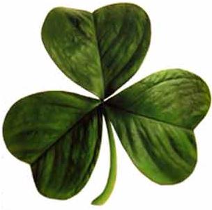 The Kalamazoo Irish Festival The Kalamazoo Irish Festival