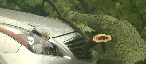 Damage from storms that hit parts of southern Wisconsin, like Milwaukee, on June 30, 2014. (Photo from: FOX 11/YouTube). Damage from storms that hit parts of southern Wisconsin, like Milwaukee, on June 30, 2014. (Photo from: FOX 11/YouTube).