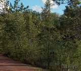 Bearskin State Trail Photo: Wisconsin Department of Natural Resources
Bearskin State Trail Photo: Wisconsin Department of Natural Resources