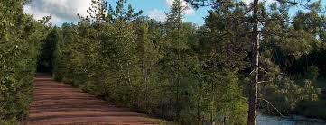 Bearskin State Trail Photo: Wisconsin Department of Natural Resources
Bearskin State Trail Photo: Wisconsin Department of Natural Resources