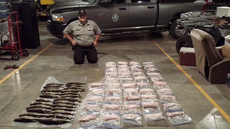Game and Fish busted 5 Wisconsin men for having too many walleyes Game and Fish busted 5 Wisconsin men for having too many walleyes